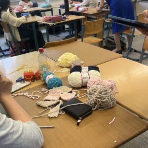 Mehr über den Artikel erfahren Häkelprojekt 