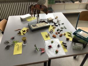 Mehr über den Artikel erfahren Unsichtbare Lebewesen – Die spannende Welt der Lebewesen entdecken 