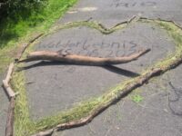 Projekt: Walderlebnis