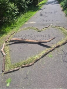 Mehr über den Artikel erfahren Projekt: Walderlebnis