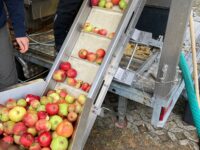 Erste Saftpressung erfolgreich